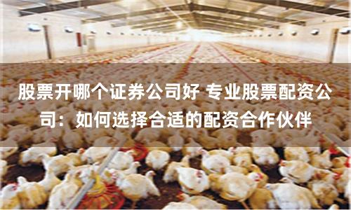 股票开哪个证券公司好 专业股票配资公司：如何选择合适的配资合作伙伴
