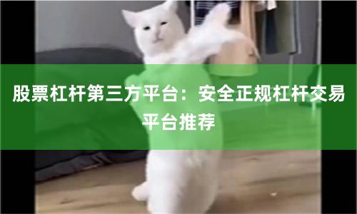 股票杠杆第三方平台：安全正规杠杆交易平台推荐